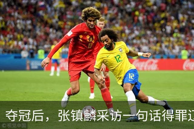 夺冠后，张镇麟采访一句话得罪辽宁！辽蜜：有本事到四川证明价值