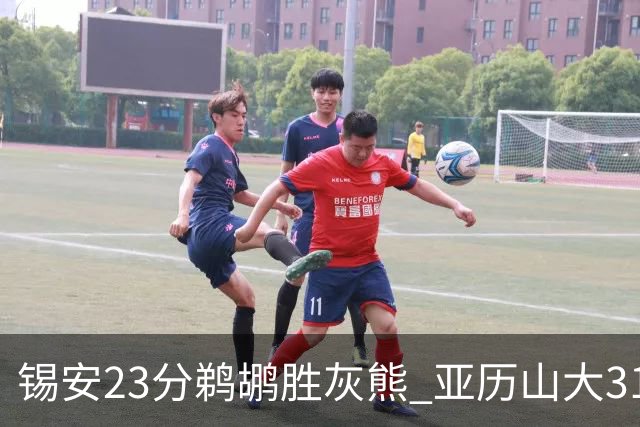 锡安23分鹈鹕胜灰熊 亚历山大31+10雷霆屠公牛